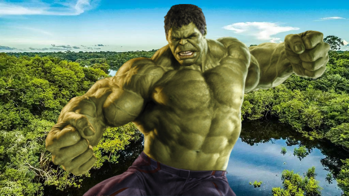 Mark Ruffalo e os vingadores da vida real vão salvar a Amazônia.