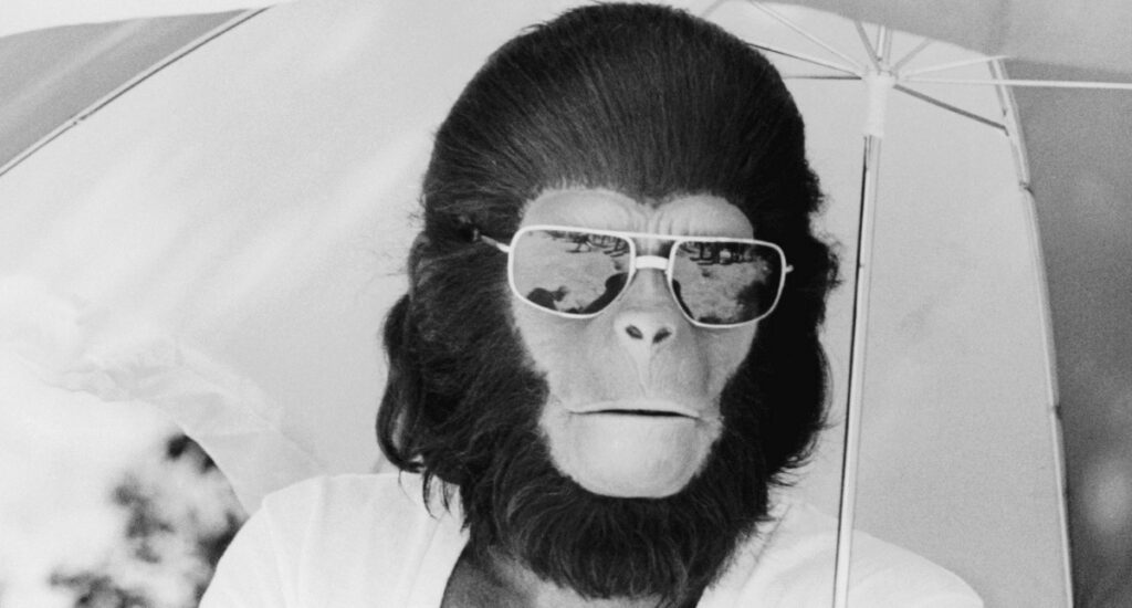 Planeta dos Macacos (1968): vídeos raros mostram a transformação de Roddy McDowall em Cornelius.