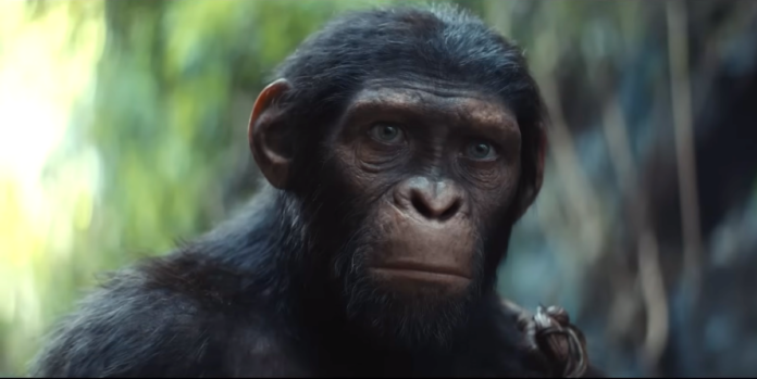 Planeta dos Macacos O Reinado Assista ao teaser oficial dublado