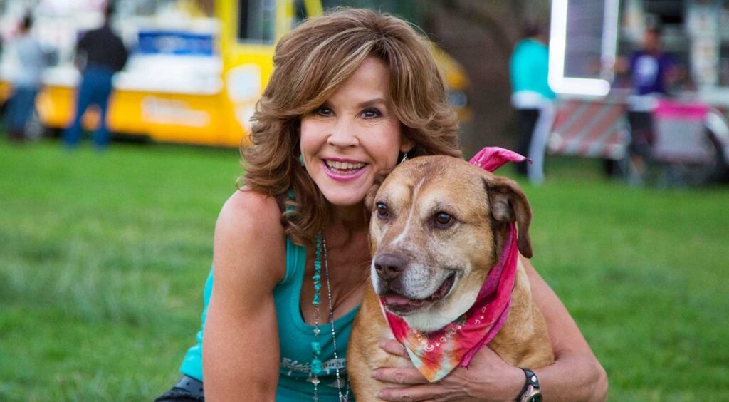 O Exorcista Linda Blair revela sua única condição para retornar à franquia