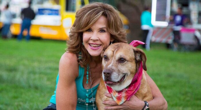 O Exorcista Linda Blair revela sua única condição para retornar à franquia